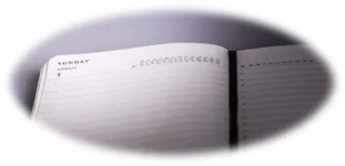LOST and FOUND 12 image.webp