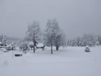 20210211_100606.webp