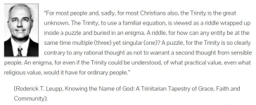 TriniPuzzle.webp
