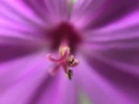 BB4981D5-39BC-444A-BABE-1AD6134BB065.webp