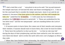 IMG_3447.webp